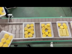 αυτόματη μηχανή σφράγισης δίσκων 4R με εξάντληση αερίου υπό κενό